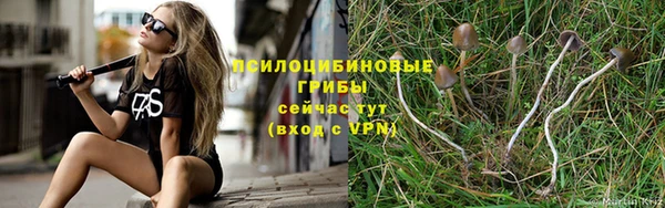 твердый Белоозёрский