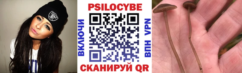 Галлюциногенные грибы мицелий  Кинешма 